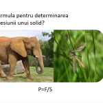 Jocul Jeopardy - Presiunea. Forța Arhimede. Clasa a VII-a.