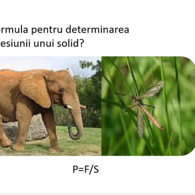 Jocul Jeopardy - Presiunea. Forța Arhimede. Clasa a VII-a.