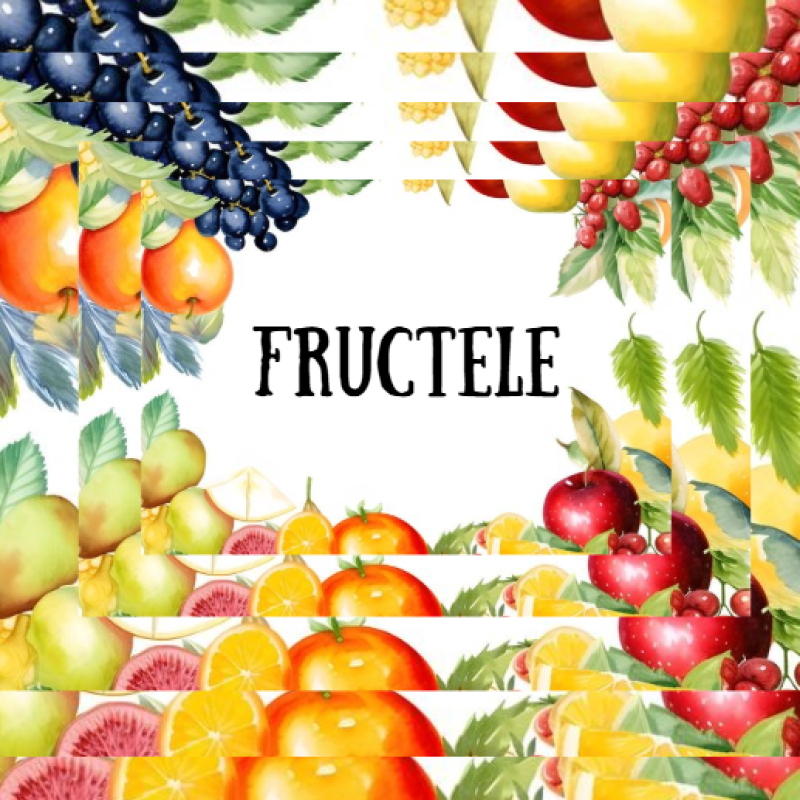 Fructele în limba română cu traducere în limba rusă [fișier .PPTX]