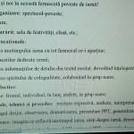 ACTIVITATE EXTRACURRICULARĂ  „O POVESTE DE IARNĂ- ANUL NOU!” Învățământ preșcolar, primar, gimnazial și liceal [fișier .DOCX]”