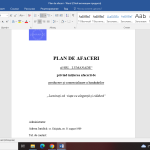 Plan de afaceri complet – Producerea și comercializarea lumânărilor artizanale [fișier .DOCX]