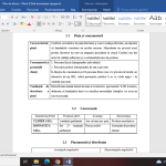 Plan de afaceri complet – Producerea și comercializarea lumânărilor artizanale [fișier .DOCX]