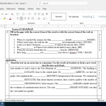 Teza Engleza clasa 11  [fișier .DOCX]