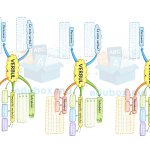 Hartă mentală – VERBUL | Clase primare | Suport vizual adaptat pentru pentru elevi cu CES [Fișier .PDF]