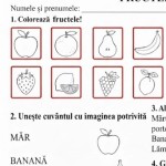 Fișă de lucru Fructele [fișiere .PDF, .PNG]
