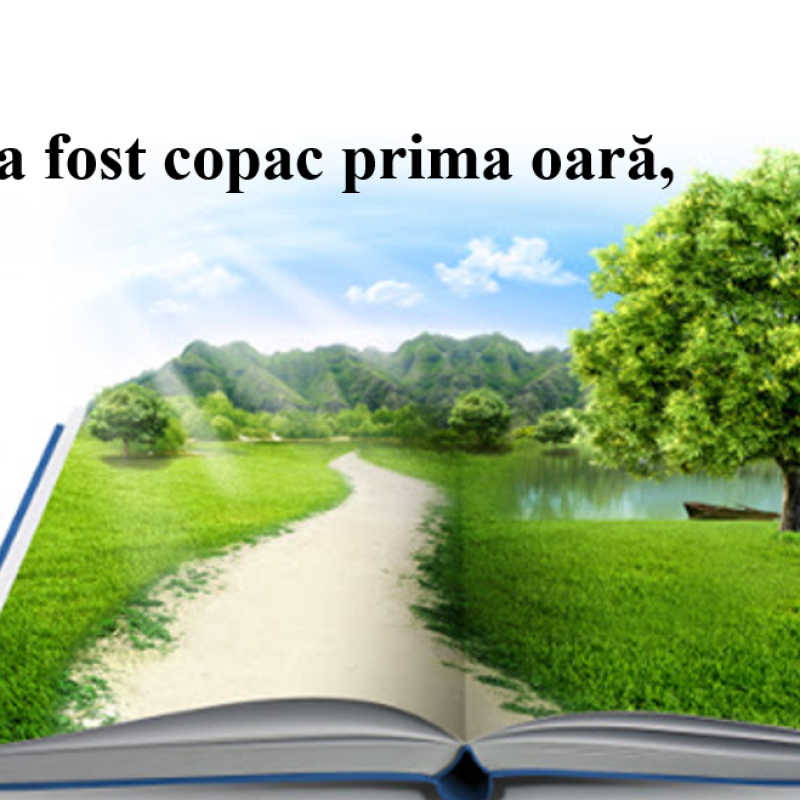 Abecedar_Cartea în viața noastră. Prezentarea Abecedarului