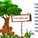 Abecedar_Propoziția după scopul comunicării. Intonarea propozițiilor