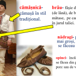 Abecedar_Propoziția după scopul comunicării. Intonarea propozițiilor