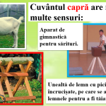 Abecedar_Atitudinea față de comportamentul personajelor din text