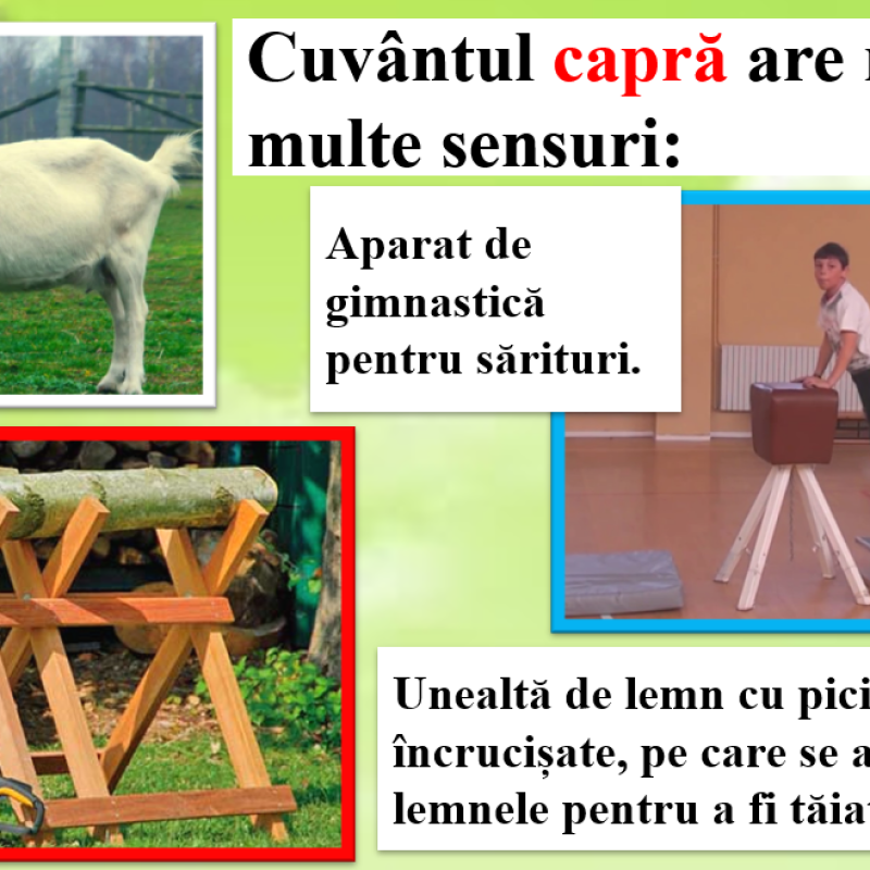 Abecedar_Atitudinea față de comportamentul personajelor din text
