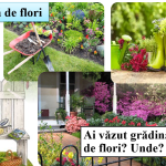 Abecedar_Descrieri de obiecte. Cuvântul format din două silabe