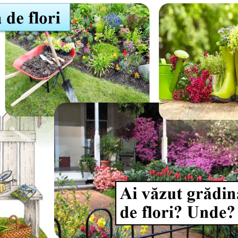 Abecedar_Descrieri de obiecte. Cuvântul format din două silabe
