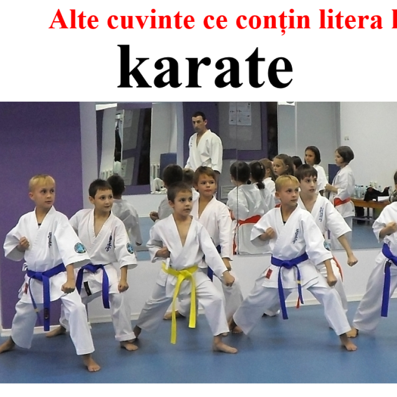 Abecedar_Litera k mic. ,,Micuțul koala”