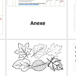 Împreună, în PACE/ proiectul word+ anexe