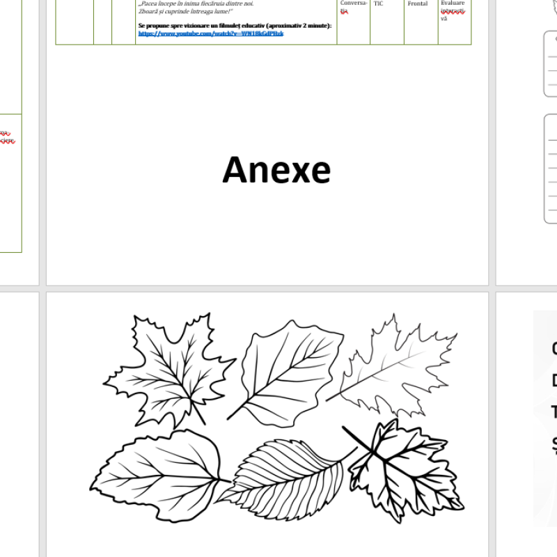 Împreună, în PACE/ proiectul word+ anexe