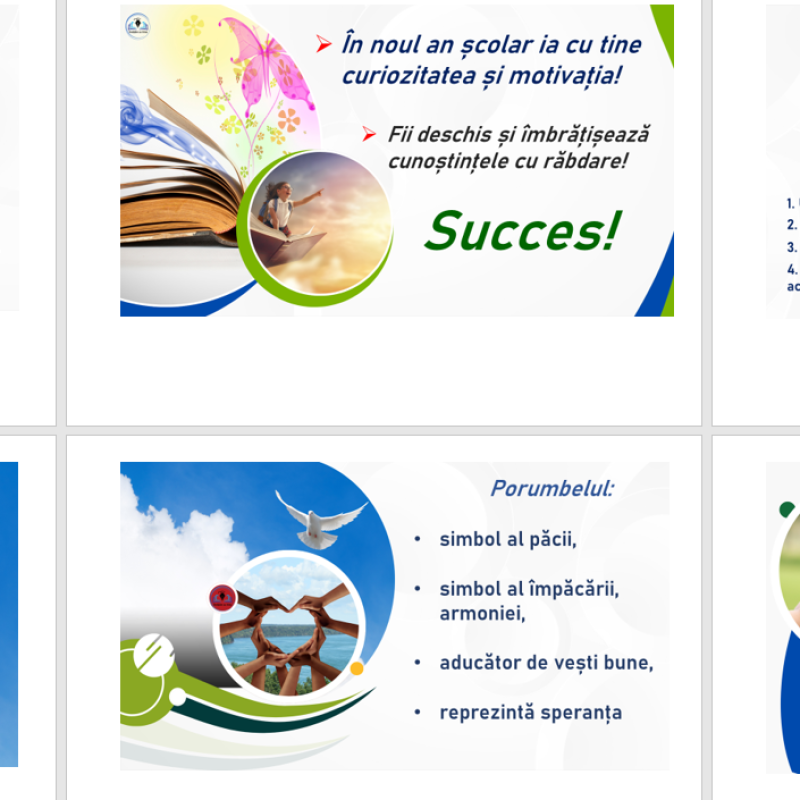 Împreună, în PACE/ proiectul word+ anexe