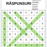 FIȘĂ DE LUCRU NR.2 - CULORILE [fișier .PDF]