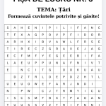 FIȘĂ DE LUCRU NR.3 - ȚĂRI [fișier .PDF]