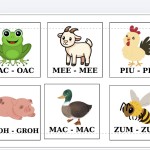 FIȘE - ONOMATOPEE - SUNETELE ANIMALELOR [fișier .PDF]