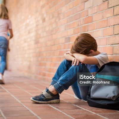 Bullying în mediul online [fișier .PPTX]