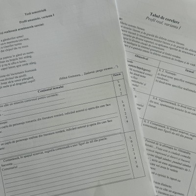 Teză semestrială la limba și literatura română, clasa a XI-a (profil umanistic) [fișier .DOCX]