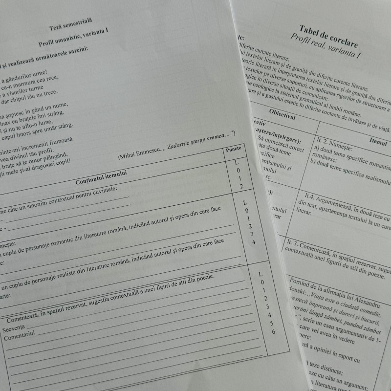 Teză semestrială la limba și literatura română, clasa a XI-a (profil umanistic) [fișier .DOCX]
