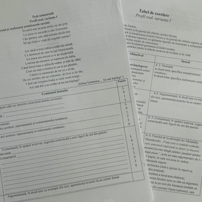 Teza semestrială la limba și literatura română, clasa a XI-a, profil real [fișier .DOCX]