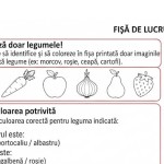 Fișe de lucru Legumele [fișiere .PNG, .JPG, .PDF]