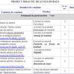 Proiectare de lungă durată la clasa a II-a