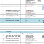 Proiect de lungă durată, limba și literatura română, clasa a V-a [fișier .DOCX]