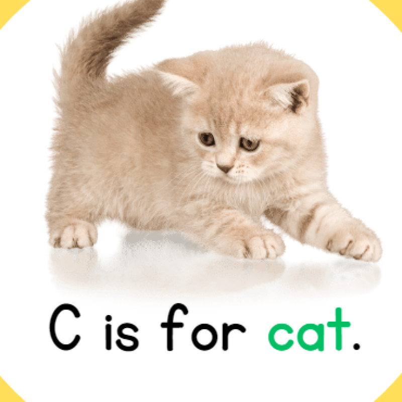 Prezentarea PowerPoint la limba engleza. The ABC for 2nd gtade in accordance with Student's Book [fișier .PPT]