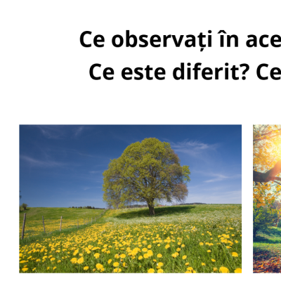 Științe. Clasa a II-a. Vara și toamna. Recapitulare [fișiere .PPTX.  .PDF]