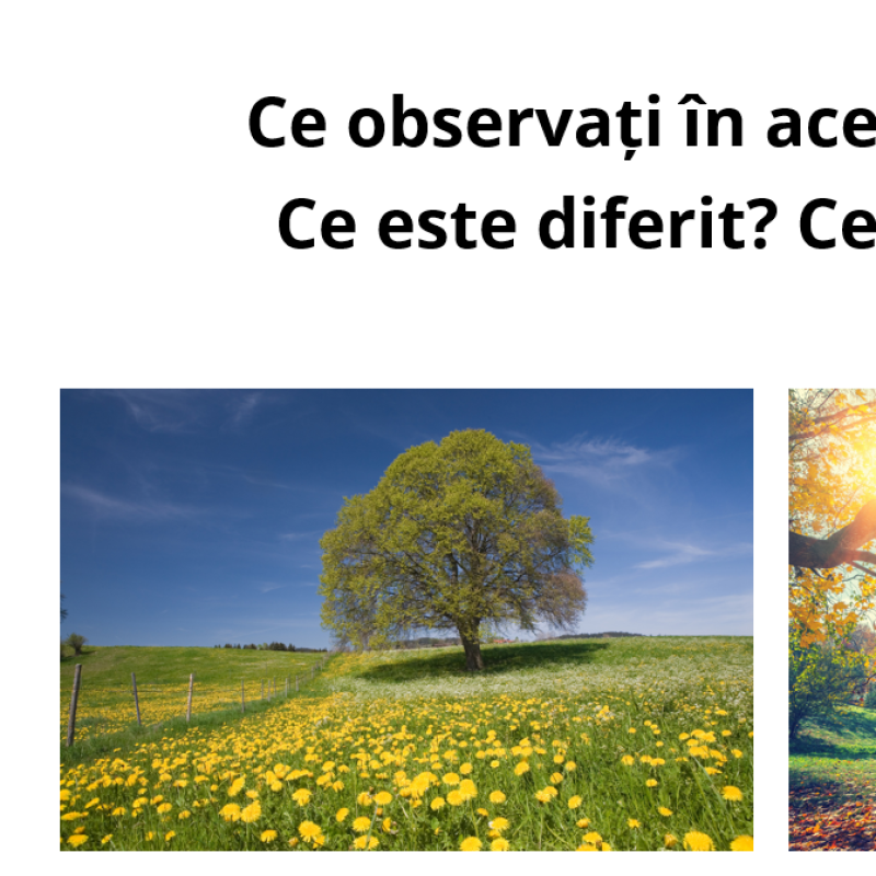 Științe. Clasa a II-a. Vara și toamna. Recapitulare [fișiere .PPTX.  .PDF]