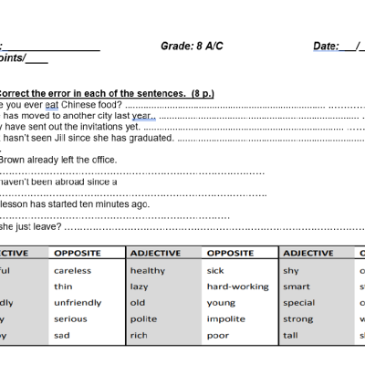 Test engleza clasa 8 [fișier .DOCX]