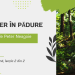 L.Lit.Română. Clasa a III-a. Textul „Atelier în pădure”, după Peter Neagoe [fișier .PPTX]
