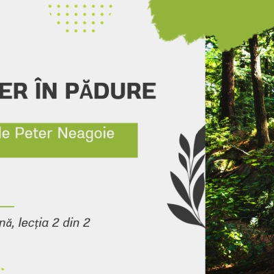 L.Lit.Română. Clasa a III-a. Textul „Atelier în pădure”, după Peter Neagoe [fișier .PPTX]