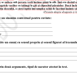 Teza la Limba și literatura română, clasa a X-a, profil real– disponibilă în 2 variante [fișiere .DOCX]