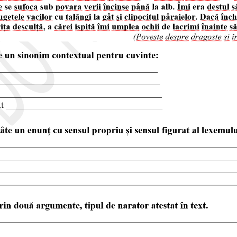 Teza la Limba și literatura română, clasa a X-a, profil real– disponibilă în 2 variante [fișiere .DOCX]