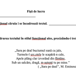 Set de fișe de lucru - Stilurile funcționale ale limbii române [fișier .DOCX]