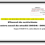 Planul de activitate a cadrului didactic de sprijin
