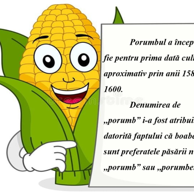 Oră Publică – Limba și Literatura Română, Clasa a III-a: „Culesul Porumbului” [fișier .PPTX]
