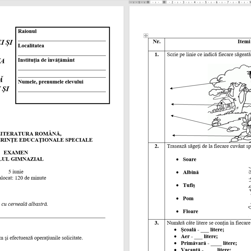 Test la limba și literatura română  clasa aI X-a pentru elevii cu CES severe [fișier .DOCX]